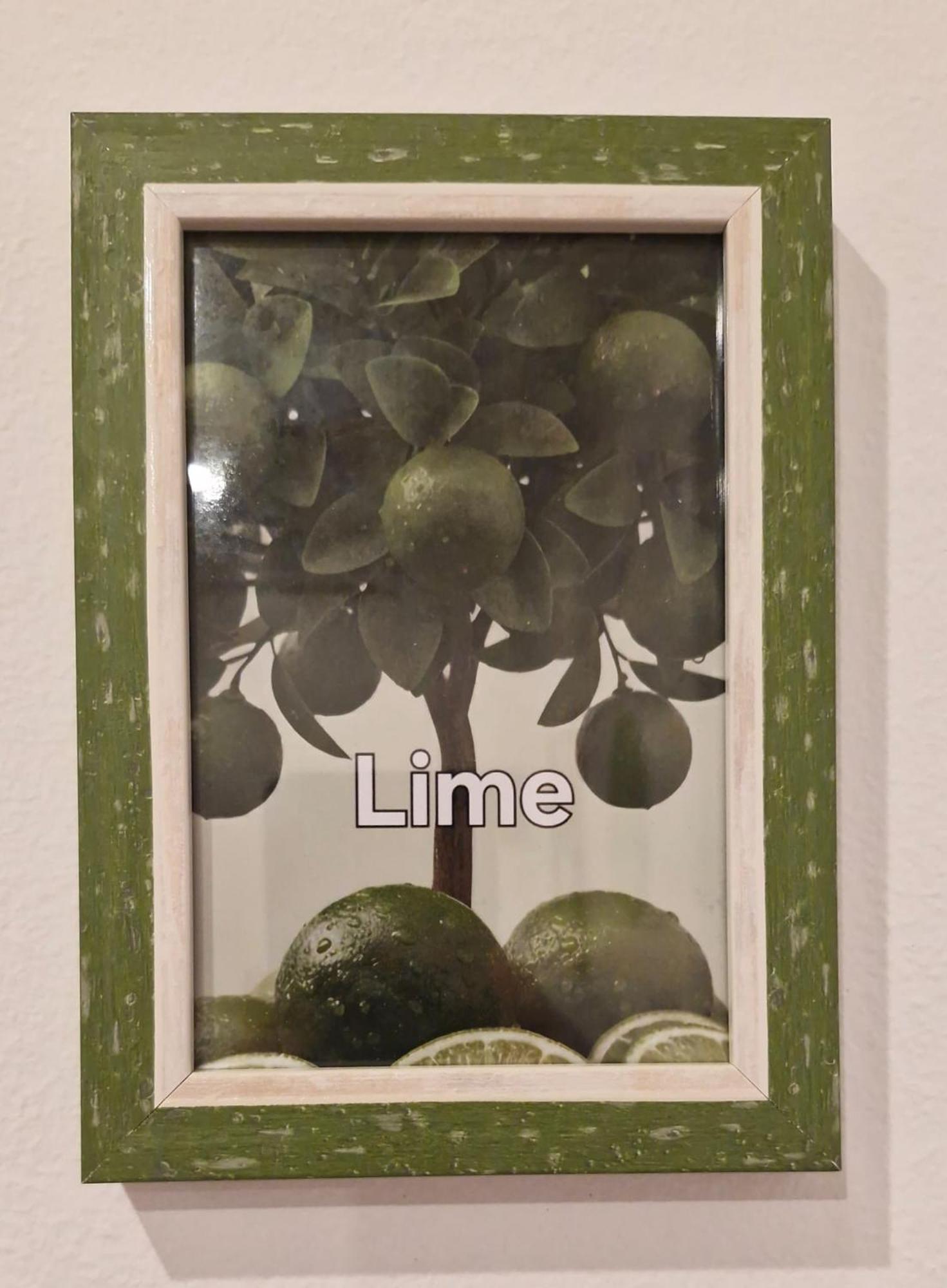 B&B Linea Verde — Foto’s 3